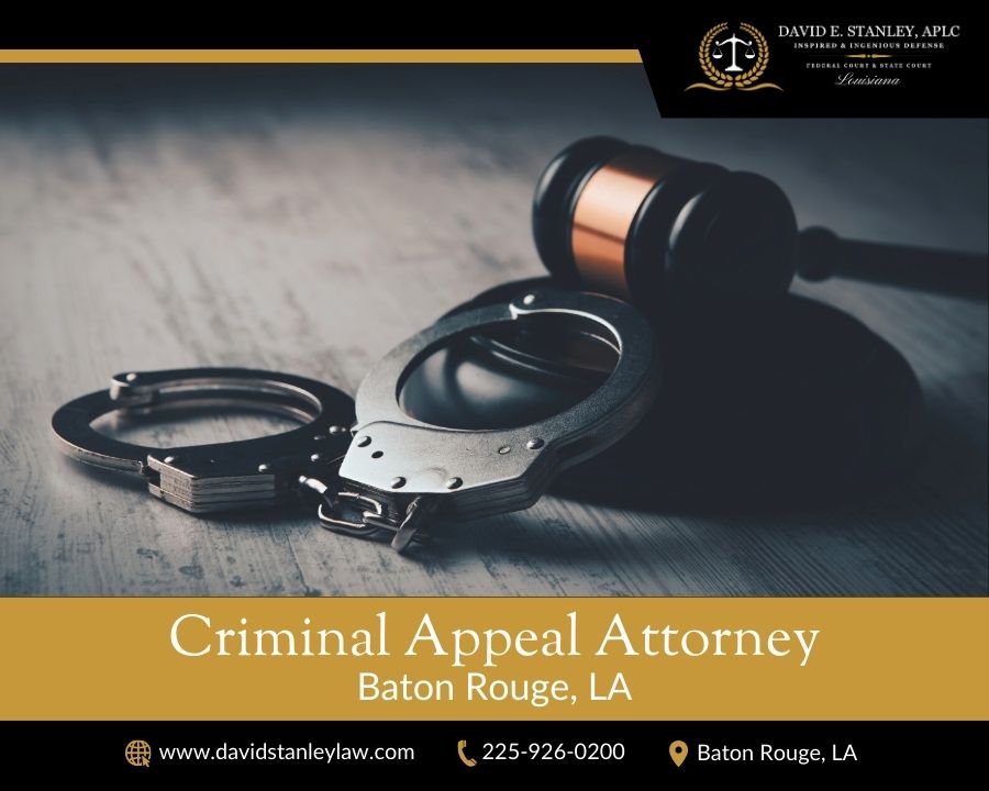 Appeal Attorney