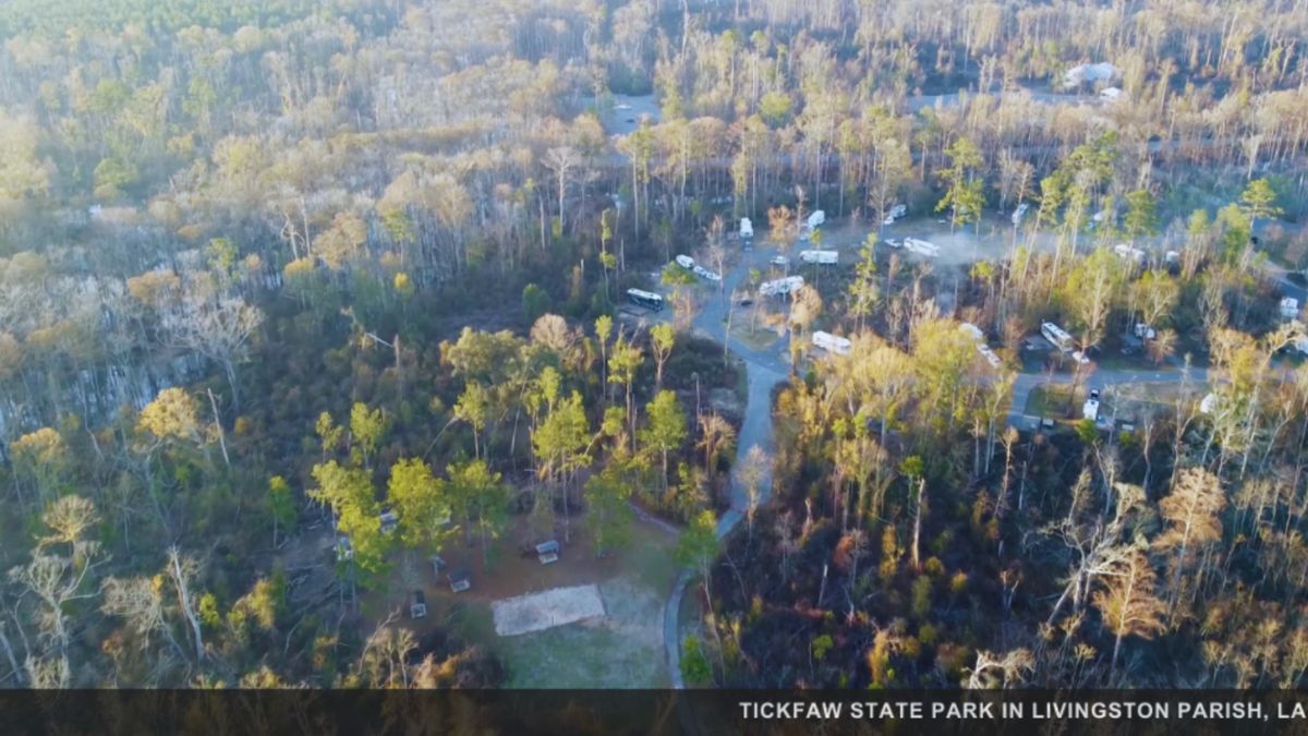 Aerial view of Tickfaw State Park featuring dense trees and a winding road cutting through the greenery.