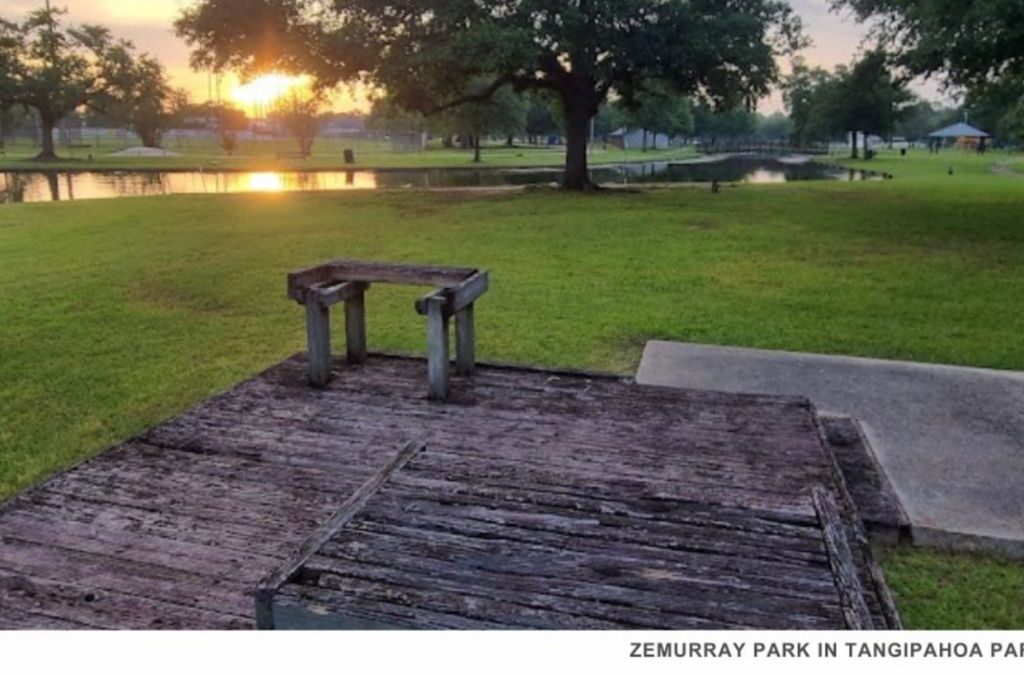 A tranquil bench nestled in the grass next to a pond in Zemurray Park, perfect for enjoying nature's beauty.